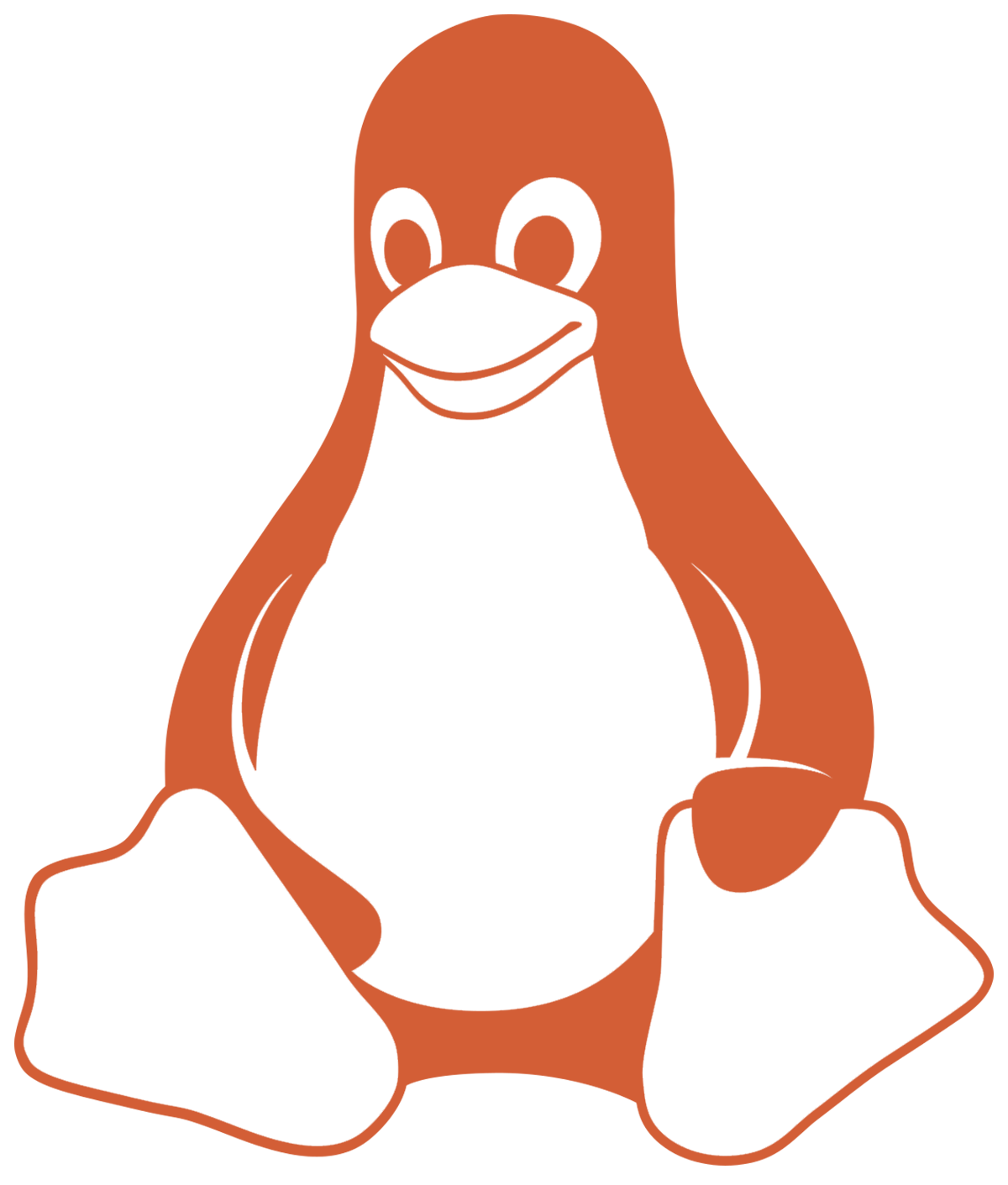 HTML5 Icon