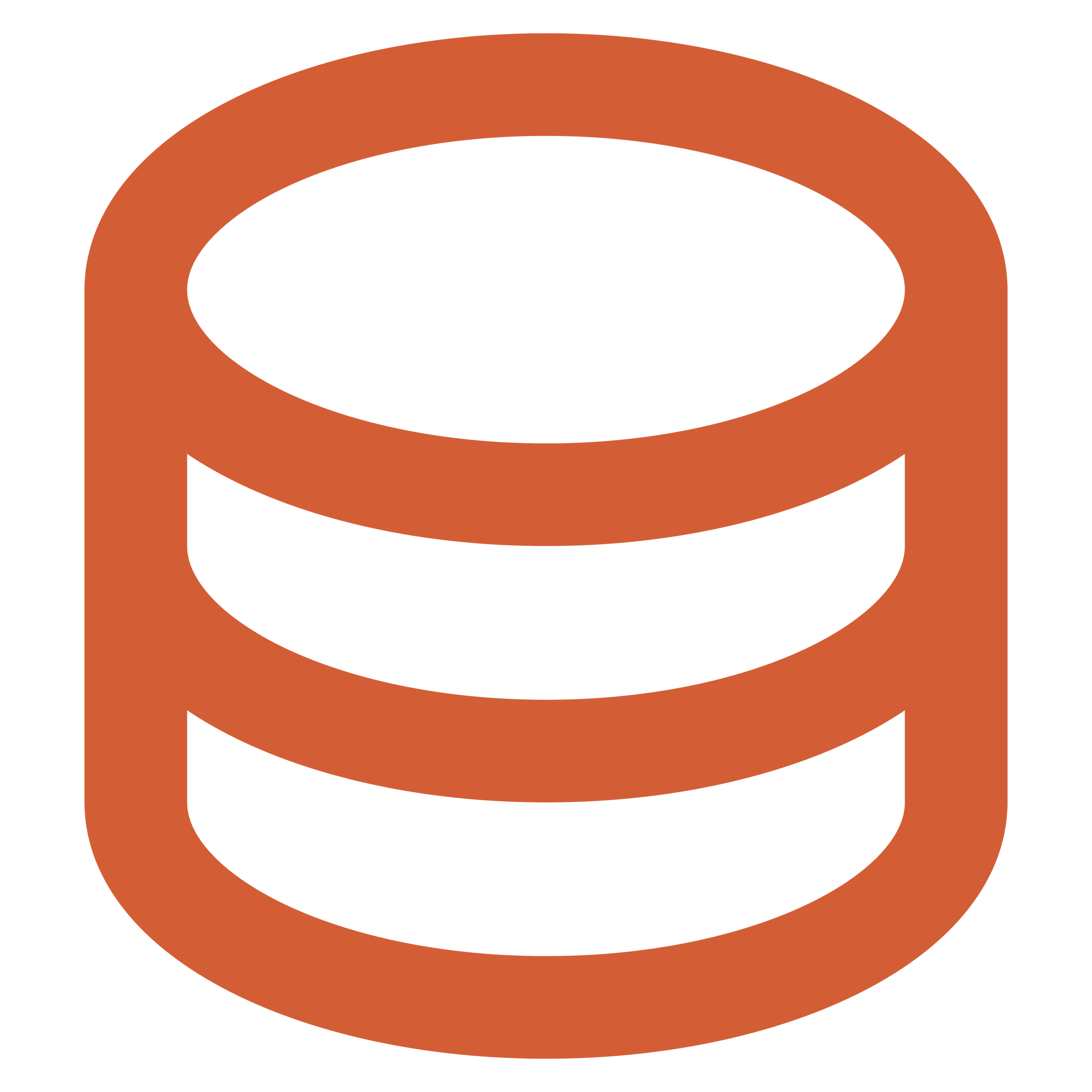 HTML5 Icon